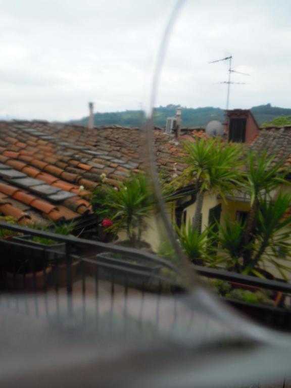 Leonardo's Bed and breakfast
